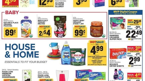Food Lion P&G 'House & Home' Feature